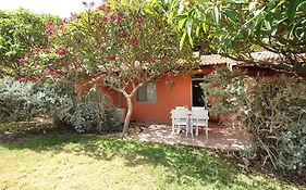 כפר הנופש אלמוג